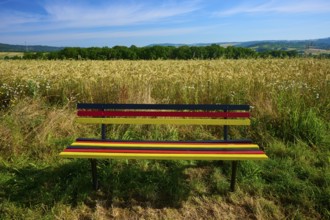 Bench in German colours in front of a golden grain field under a clear sky, summer, Germerode, Geo