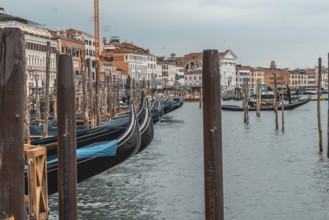 Gondolas moored near the rialto bridge in venice, waiting patiently for tourists on a cloudy day,