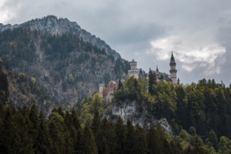 The imposing Neuschwanstein Castle sits majestically on a wooded mountain under a cloudy sky,