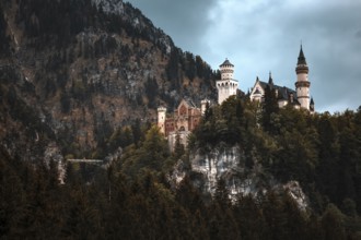 The fairytale Neuschwanstein Castle on a wooded hill against a mountain backdrop, Schwangau,