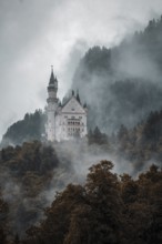 The mystical Neuschwanstein Castle in the dense fog of the mountains, Schwangau, Bavaria