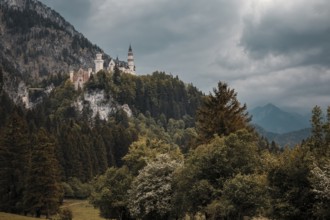 Neuschwanstein Castle towers over a wooded landscape under a dramatic sky, Schwangau, Bavaria