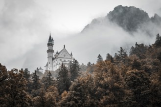 The romantic Neuschwanstein Castle in the middle of a misty, autumnal forest, Schwangau, Bavaria