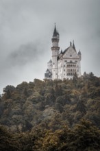 The magical Neuschwanstein Castle lies on a wooded hill shrouded in mist, Schwangau, Bavaria