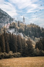 The fairytale Neuschwanstein Castle on a wooded hill, surrounded by flying birds and a clear sky,