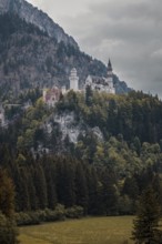 The majestic Neuschwanstein Castle rises above a dense forest on a mountain under a cloudy sky,