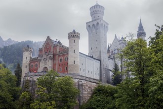 Neuschwanstein Castle rises from the trees, surrounded by fog, Schwangau, Bavaria