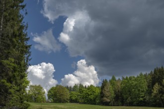 Landscape with heap and rain clouds, Bavarian Forest, Bavaria, Germany