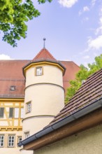 Historic tower in front of a blue sky with surrounding trees and half-timbered buildings,
