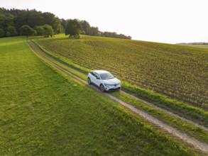 Vehicle travelling along a green country road through wide fields, Renault Megane, Deer E