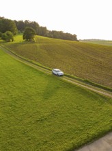 Car driving along a green country road through a quiet, rural landscape, Renault Megane, Deer E
