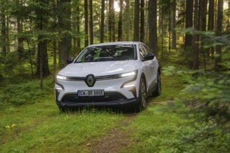 White car driving through a dense forest in daylight, surrounded by large trees, Renault Megane,