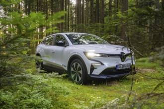 A white car is parked in a green summer forest, surrounded by dense plants, Renault Megane, Deer E