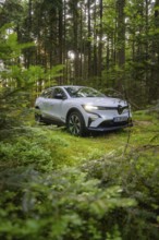 White car visible through dense vegetation in a summer forest, Renault Megane, Deer E Carsharing,