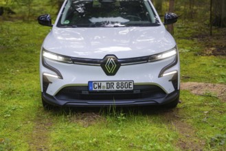 Close-up of a white car on a green forest floor in a shady forest, Renault Megane, Deer E