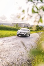 Renault car on a lonely road with trees and buildings in the background, Renault Megane, Deer E