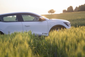 White car in profile, surrounded by green field in late daylight, Renault Megane, Deer E-