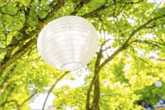 Large white lantern hanging from a tree in the sunny garden, event and wedding location Kloster