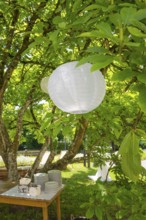 Paper lantern hanging from a tree above a table with crockery in the summer garden, event and