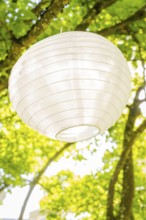 White paper lantern hanging from a tree against a sunny sky, event and wedding location Kloster