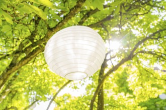 White lantern decorates a tree under a clear blue sky in summer, event and wedding location Kloster