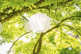 Paper lantern on a tree in the summer sunshine in the garden, event and wedding location Kloster