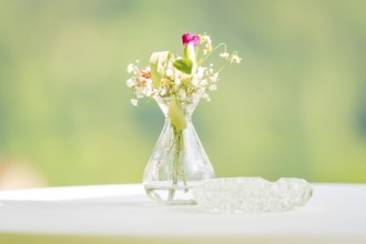 Single flower in a small vase on a table with a green background, minimalist and delicate, event