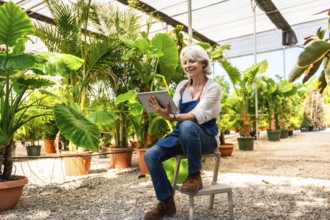 Senior woman working in plant nursery using digital tablet, managing plants and inventory in a