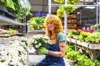 Redhead gardener holding a pot with white daisies in a garden center, surrounded by colorful plants