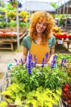 Smiling gardener pushing a shopping cart filled with vibrant lavender and various plants while
