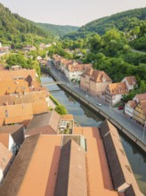 View over red roofs and a river, surrounded by wooded hills, Calw, Black Forest, Germany