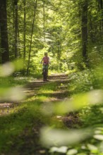 Person riding a bicycle on a shady forest path, surrounded by green nature, Gechingen, Black
