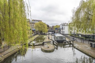 Regent's canal flowing through camden town lock, with weeping willow branches framing the scene and