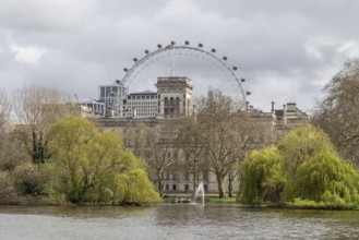Scenic view of the london eye ferris wheel rising above st. James's park, featuring a tranquil