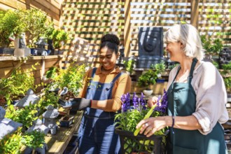 Two happy female garden center workers taking care of bonsai trees and lavender plants in a