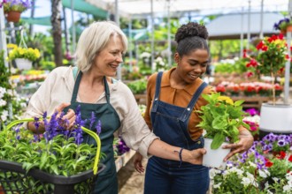 Two happy multiethnic female garden center workers carrying plants and flowers in a greenhouse