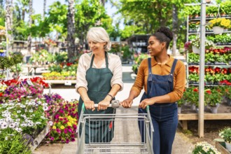 Two female garden center workers pushing an empty shopping cart between rows of colorful potted