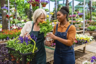 Senior woman smelling flower offered by young gardener in greenhouse, surrounded by colorful plants