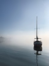 Sailing boat on Lake Starnberg with fog, Bavaria, Germany