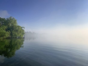 Shore area at Lake Starnberg with fog, Bavaria, Germany
