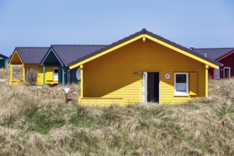 Colourful bungalows, holiday homes, wooden houses, blue sky, dune grass, dune, offshore island of