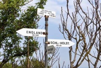 Signposts to England, Schleswig-Holstein, Zanzibar, longitude, latitude, signs on the island of