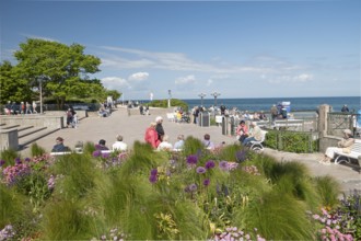Flowers, pier forecourt, pier, Kühlunsborn Ost, Baltic Sea, Baltic Sea resort, Kühlungsborn,