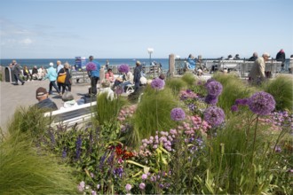 Flowers, white benches, pier forecourt, pier, Kühlunsborn Ost, Baltic Sea, Baltic Sea resort,