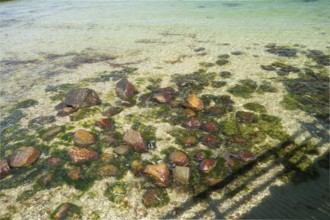 Clear Baltic Sea water, rocks, beach, Kühlunsborn Ost, Baltic Sea, Baltic Sea resort, Kühlungsborn,