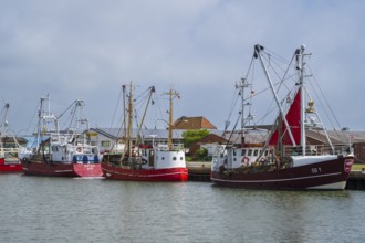 Fishing boats in the fishing harbour, Büsum, North Sea, Schleswig-Holstein, Germany