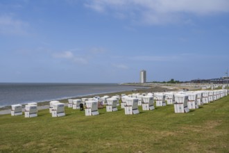 Beach chairs on the green beach, high-rise building, Büsum, North Sea, Schleswig-Holstein, Germany