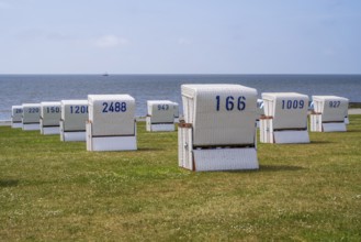 Beach chairs on the green beach, graphically orientated, Büsum, North Sea, Schleswig-Holstein,