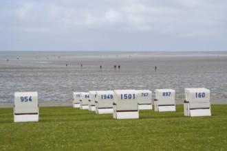 Beach chairs on the green beach, hiker in the mudflats, Büsum, North Sea, Schleswig-Holstein,