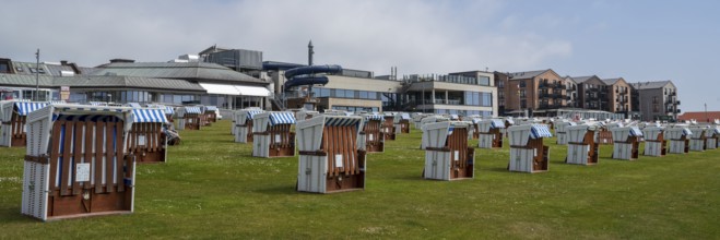 Beach chairs on the green beach, centre, Büsum, North Sea, Schleswig-Holstein, Germany